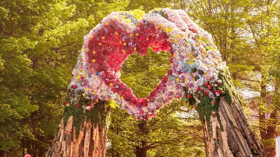 Electric Forest
