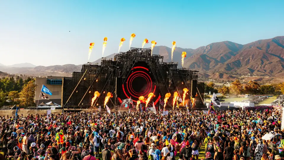 Nocturnal Wonderland
