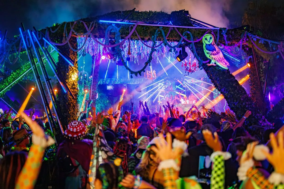 Nocturnal Wonderland