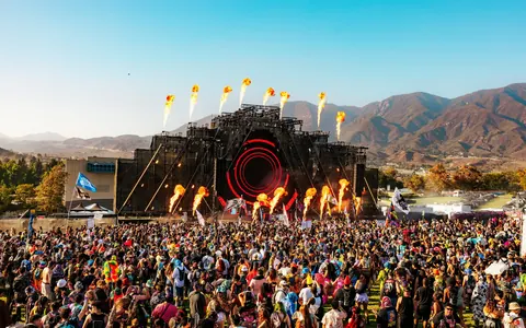 Nocturnal Wonderland